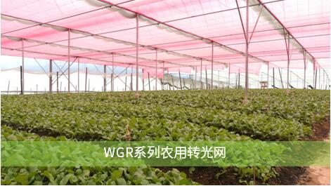 QQ截圖20190329122815.jpg QQ截圖20190329122815.jpg